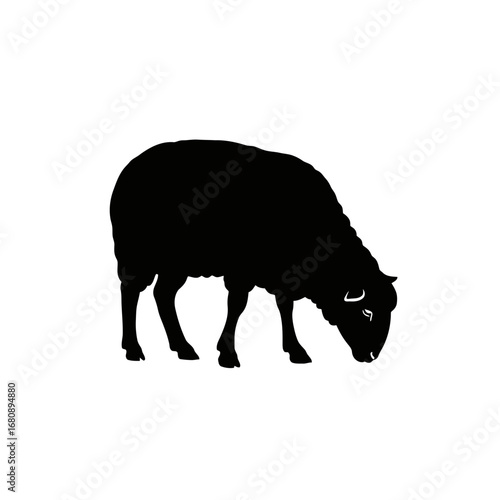 Black sheep silhouette grazing isolated on white background silhouette