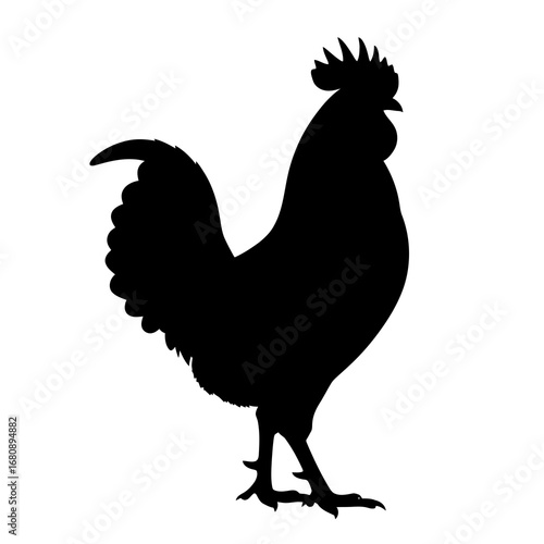 Rooster silhouette isolated on white background