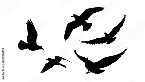 Birds in Flight and Perched silhouette flying
