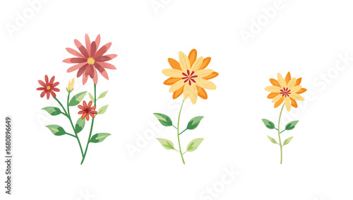 Blooming flowers with green leaves floral nature