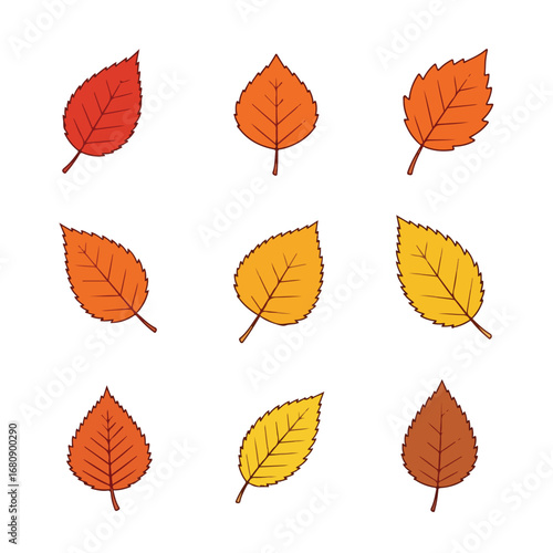 Collection of nine hand drawn autumn leaves in various shades of orange and yellow