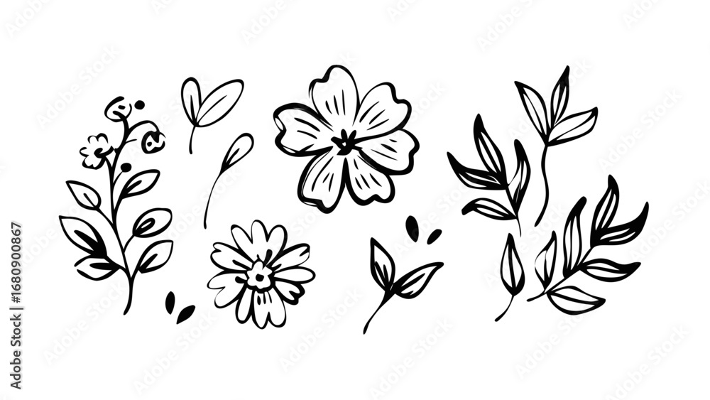 Delicate floral line art flowers leaves Delicate floral line art flowers leaves