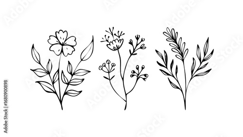 Delicate Floral Petal Swirls petals doodle