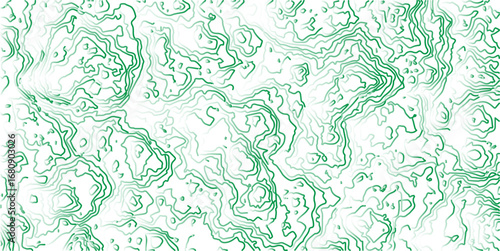 abstract topographic wave line green, green line map texture. geometric discovery mounted location counter grid map background.White wave paper curved reliefs abstract background. The topographic map.