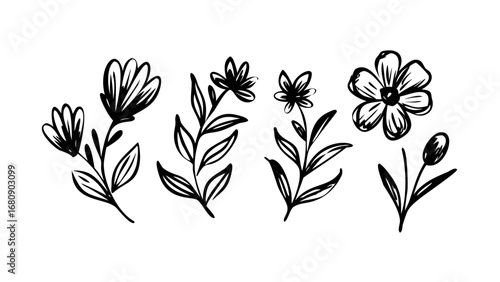 Hand Drawn Ink Botanical Elements floral leaves