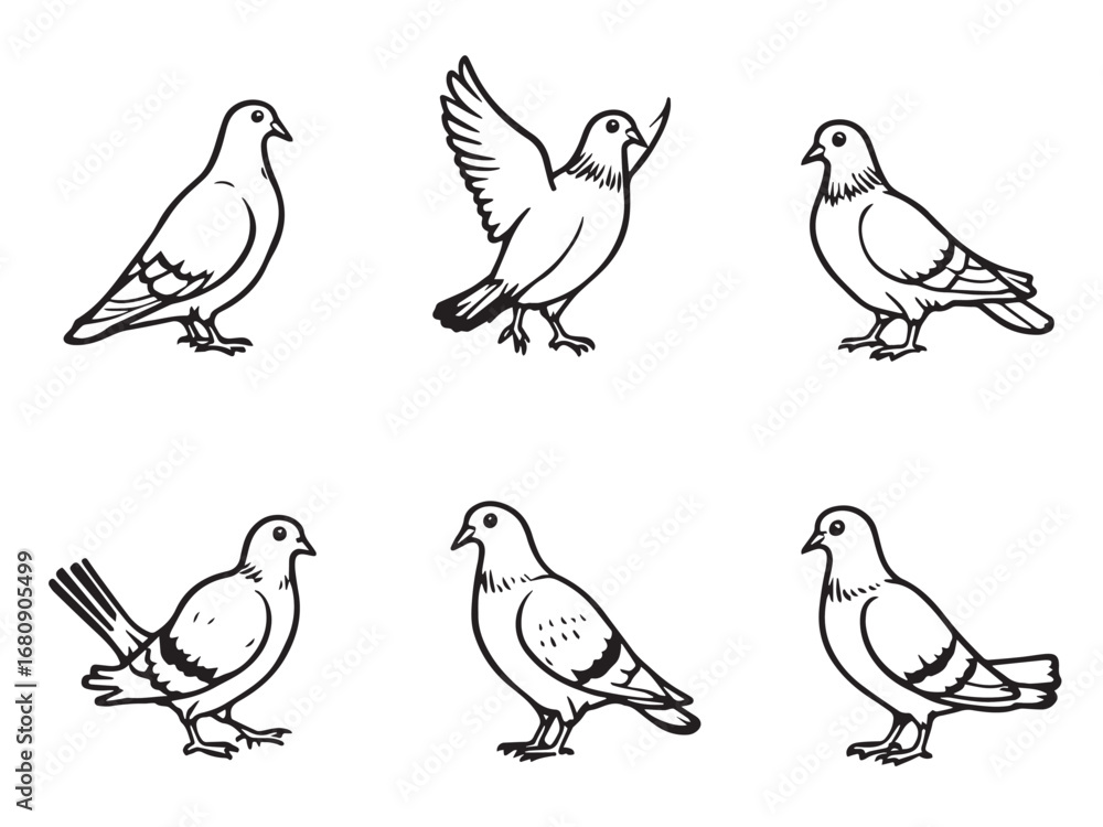 Fototapeta premium Pigeon Line Art Illustration