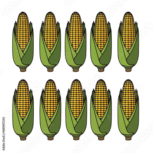 Ten ripe ears of sweet corn with green husks arranged in two rows on a white background