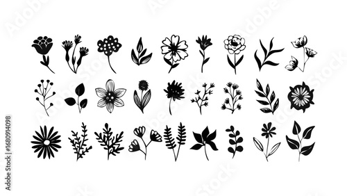 Assorted Botanical Silhouettes floral nature