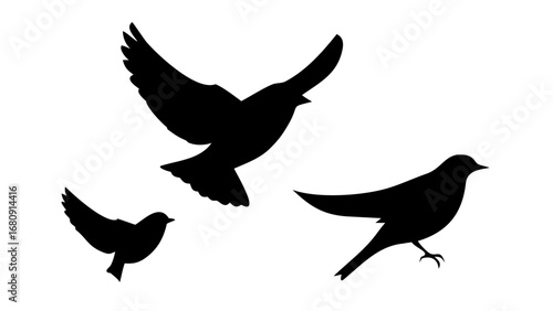 Black Silhouette of a Man Playing Guitar music