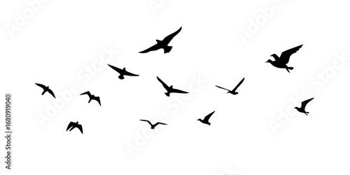 Diverse birds in flight and perched silhouettes flying