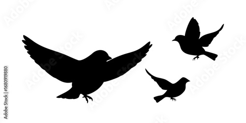 Five Sparrows Flying Silhouette birds black