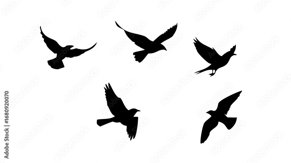 Fototapeta premium Flock of Crows in Flight black birds flying