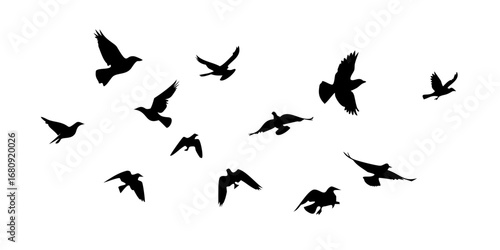 Flock of birds in flight flying silhouette