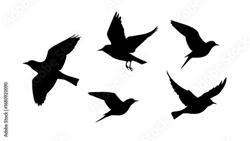 Flock of Crows in Flight black birds flying
