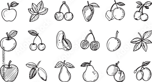 Black and white flower icons set vector illustration of fruits and vegetables