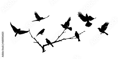 Minimalist black silhouette of a single olive fruit