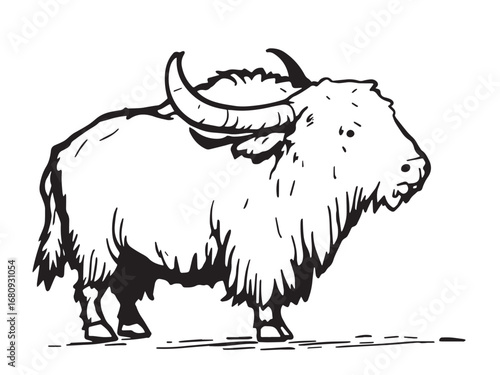 Yak Line Art Illustration