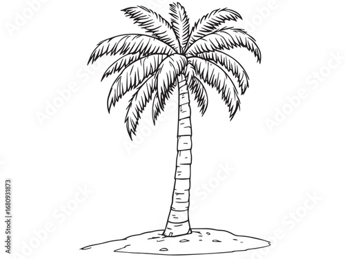 Tree Minimalist Outline Drawing