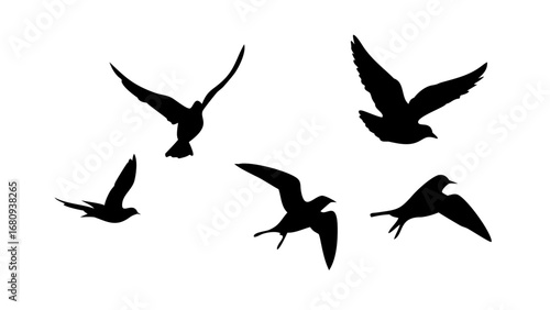 Black Silhouette of a Cat Sitting animal