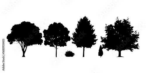 Black silhouette of a tree nature plant