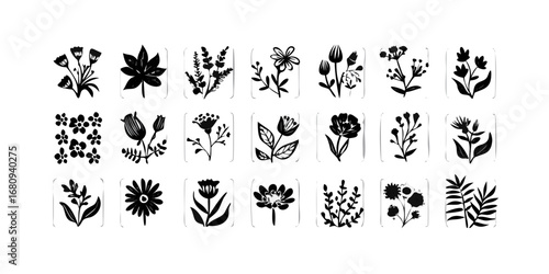 Collection of Floral Silhouettes flowers leaves