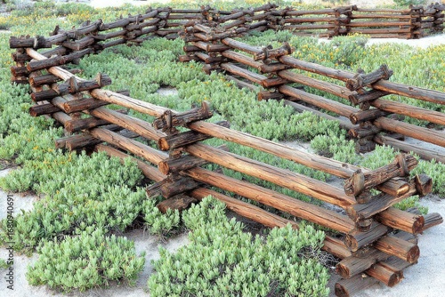 Wooden split-rail fence meandering through a bed of greenery