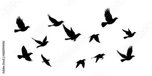 Flock of birds in flight flying silhouette