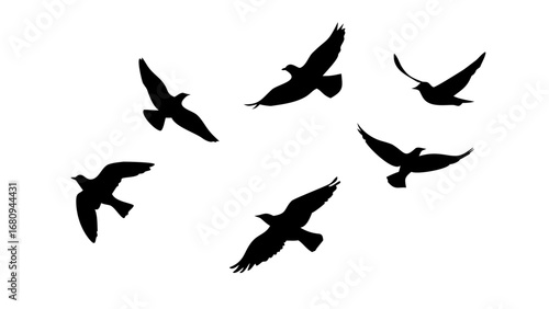 Flock of Crows in Flight birds flying