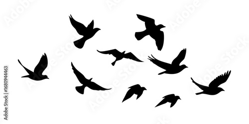 Flock of Crows in Flight birds flying