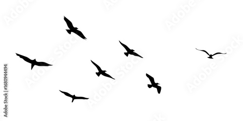 Flock of Flying Birds Silhouettes nature