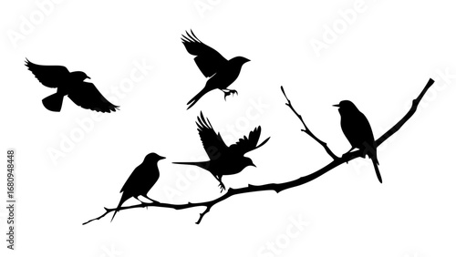 Minimalist Black Silhouette of a Cat feline animal