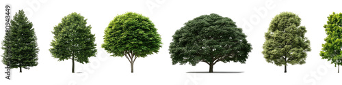 Digital renderings of various trees, different shapes and sizes