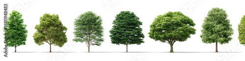 Row of trees with varied shapes and shades of green