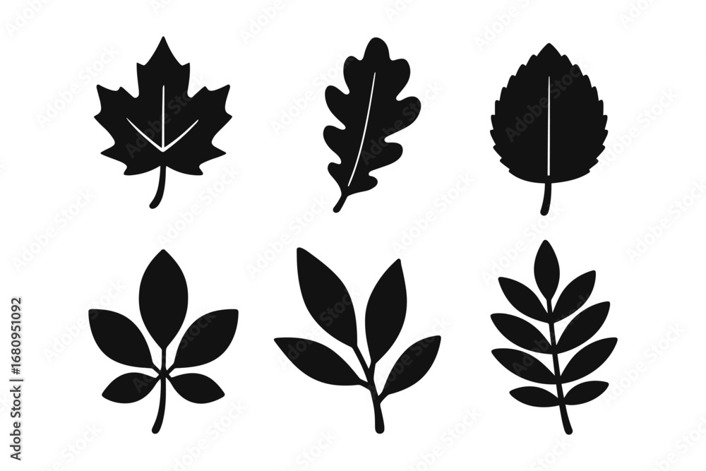 Fototapeta premium leaf silhouettes icon set – maple, oak, birch, compound branches