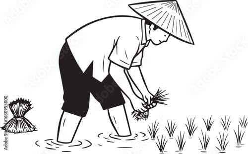 Farmer wearing conical hat planting rice seedlings in flooded field agriculture