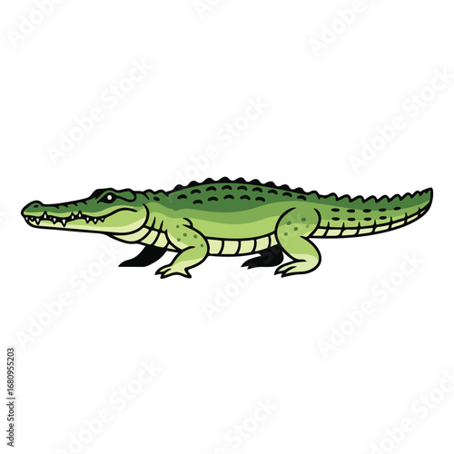 crocodile isolated on white