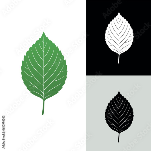 An AI Generated Plant single leaf with green and black and white versions