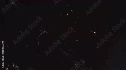Halloween creepy video transitions grunge scary effects for commercial, promo, intro. 