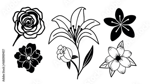 Elegant black and white floral designs for modern artistic projects and branding
