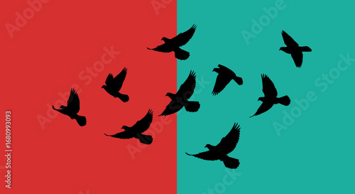 Flock of black silhouette birds flying in unison across a vibrant split background of red and teal