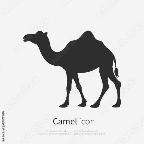 Camel icon silhouette. Black camel logo isolated on white background. Vector illustration