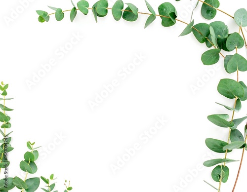 Eucalyptus sprigs frame