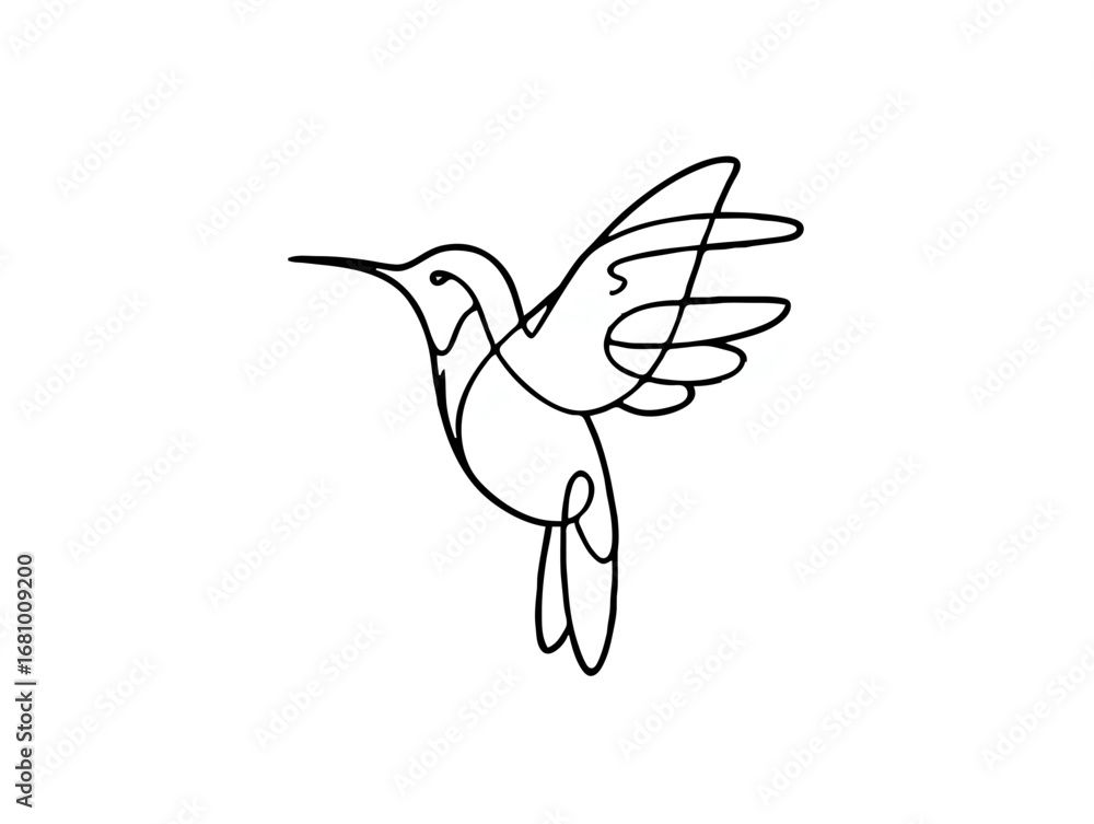 Fototapeta premium Hummingbird Flying Elegant Outline, Isolated White Background