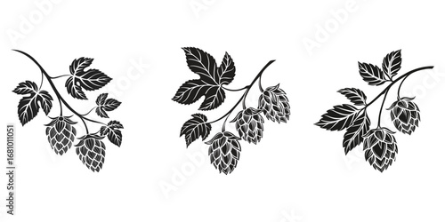 Elegant hop design. Two hops in a heart shape, framed by stylized leaves and sprigs, Hop icon, black silhouette isolated on white background. Branch of hop with cones and leaves. Vector clipart