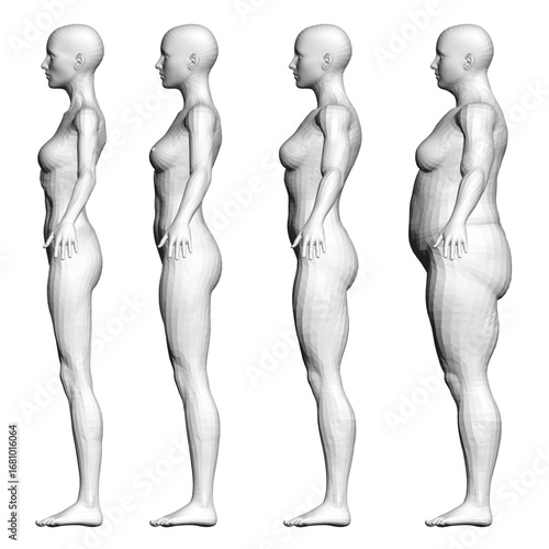 Polygonal woman body model in four poses, representing diverse body types from slim to fat on a white background.