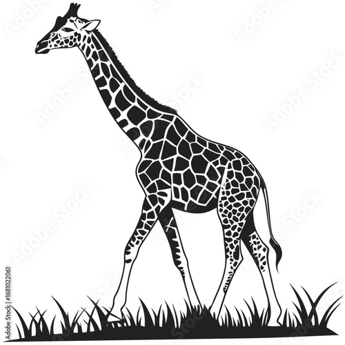 giraffe silhouette vector