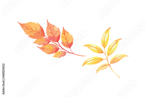 Autumn leaves on transparent background