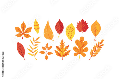Collection of Autumn Leaves on Transparent Background