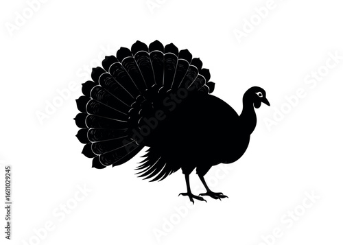 Silhouette of a wild turkey with fanned tail feathers displayed