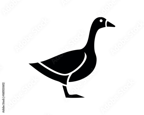 Simple Black Goose Silhouette Isolated on White